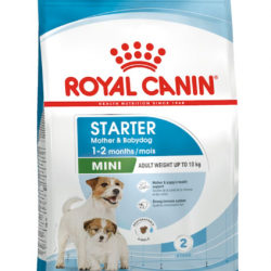 Royal Canin Mini Starter (mother&babydog) Anne ve Yavru Köpek Maması 4kg