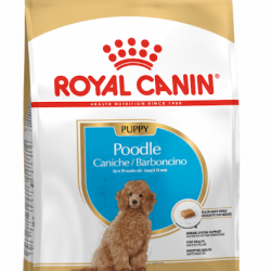 Royal Canin Poodle Yavru Köpek Maması 3kg