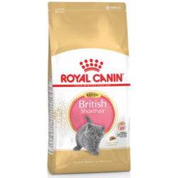 Royal Canin British Shorthair Yavru Kedi Maması 2kg