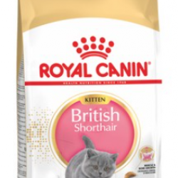 Royal Canin British Shorthair Yavru Kedi Maması 2kg