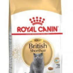 Royal Canin British Shorthair Yetişkin Kedi Maması 2kg