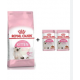 Royal Canin Kitten Bundle 
