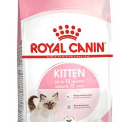 Royal Canin Yavru Kedi Maması 4kg