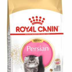 Royal Canin Persian Yavru Kedi Maması 2kg