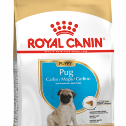 Royal Canin Pug Yavru Köpek Maması 1.5kg