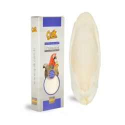 Quik Mürekkep Balığı Kemiği Büyük ( kalamar) + Tutacak